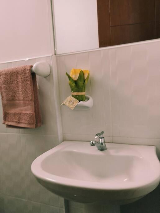 Apart Florencia, Piscina En El Verano! Incluye Parking Y Vigilancia 24 Horas! Такна Екстер'єр фото